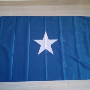Bonnie Blue Flag