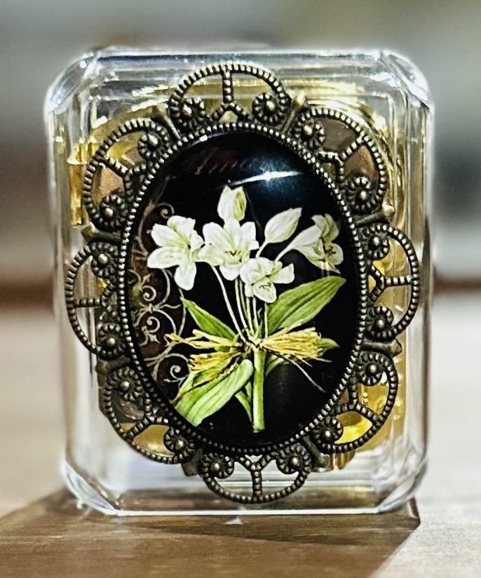 Music-Box-Amaryllis