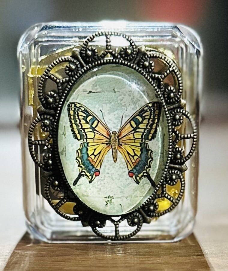 Music-Box-Painted-Butterfly