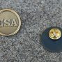 BRASSPIN-scaled