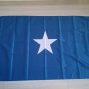 Bonnie_Blue_Flag1