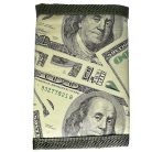 Childrens $100 Bill Velcro Wallet 1